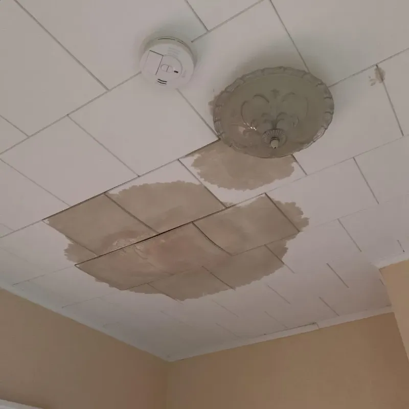 Ceiling Water Damage Repair in Orange County, CA