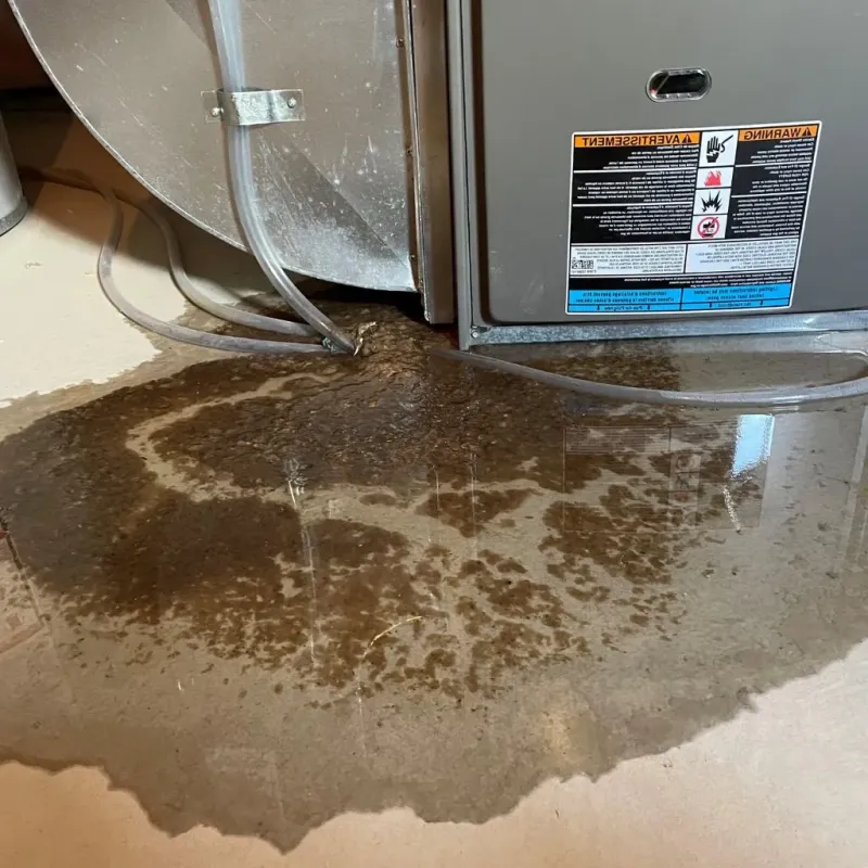 Pipe Burst and Leak Restoration in Orange County, CA